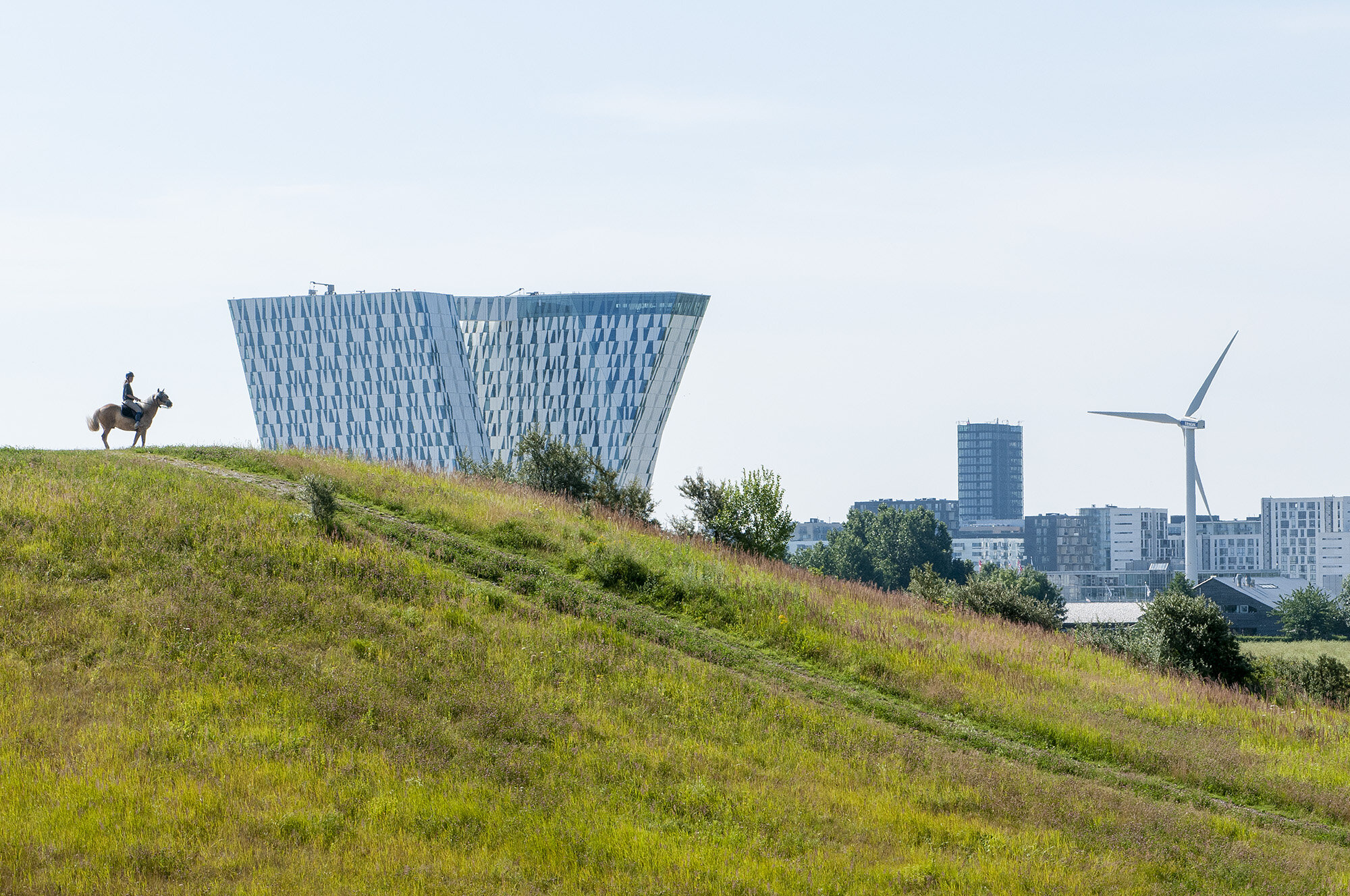 Den sidste mohikaner, Amager Flled