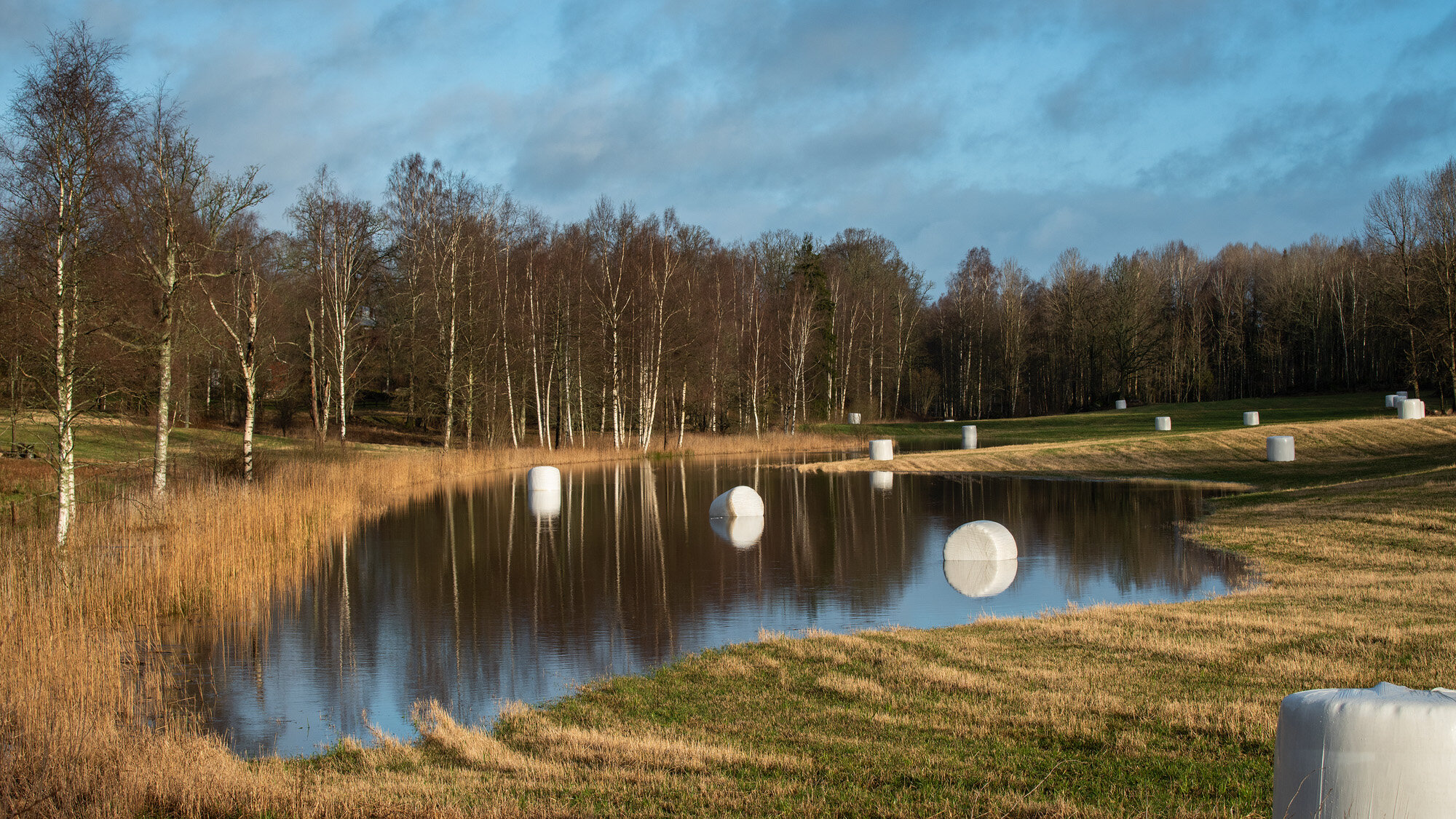 Med ballerne i vandskorpen
