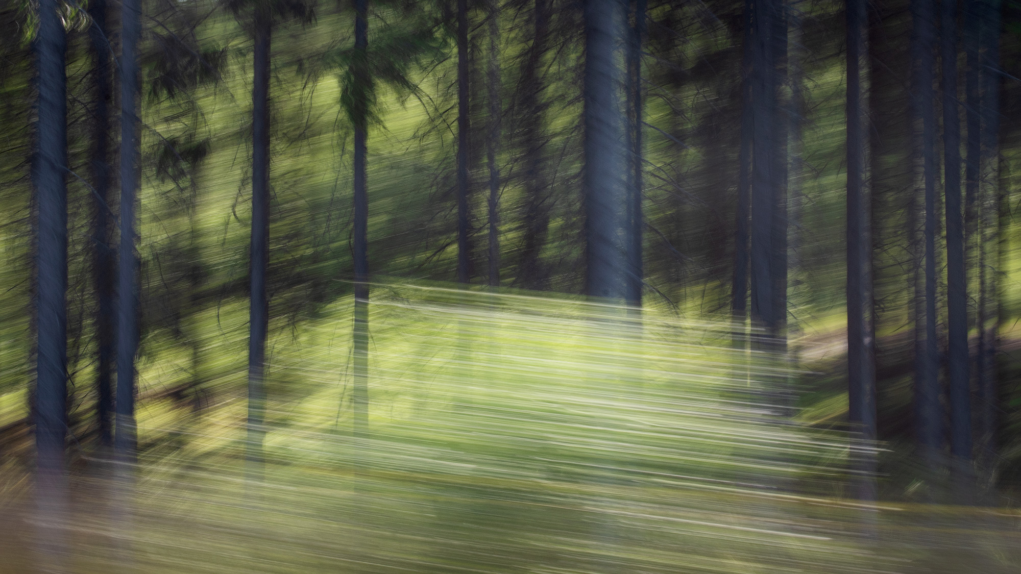 Drive-by-shooting