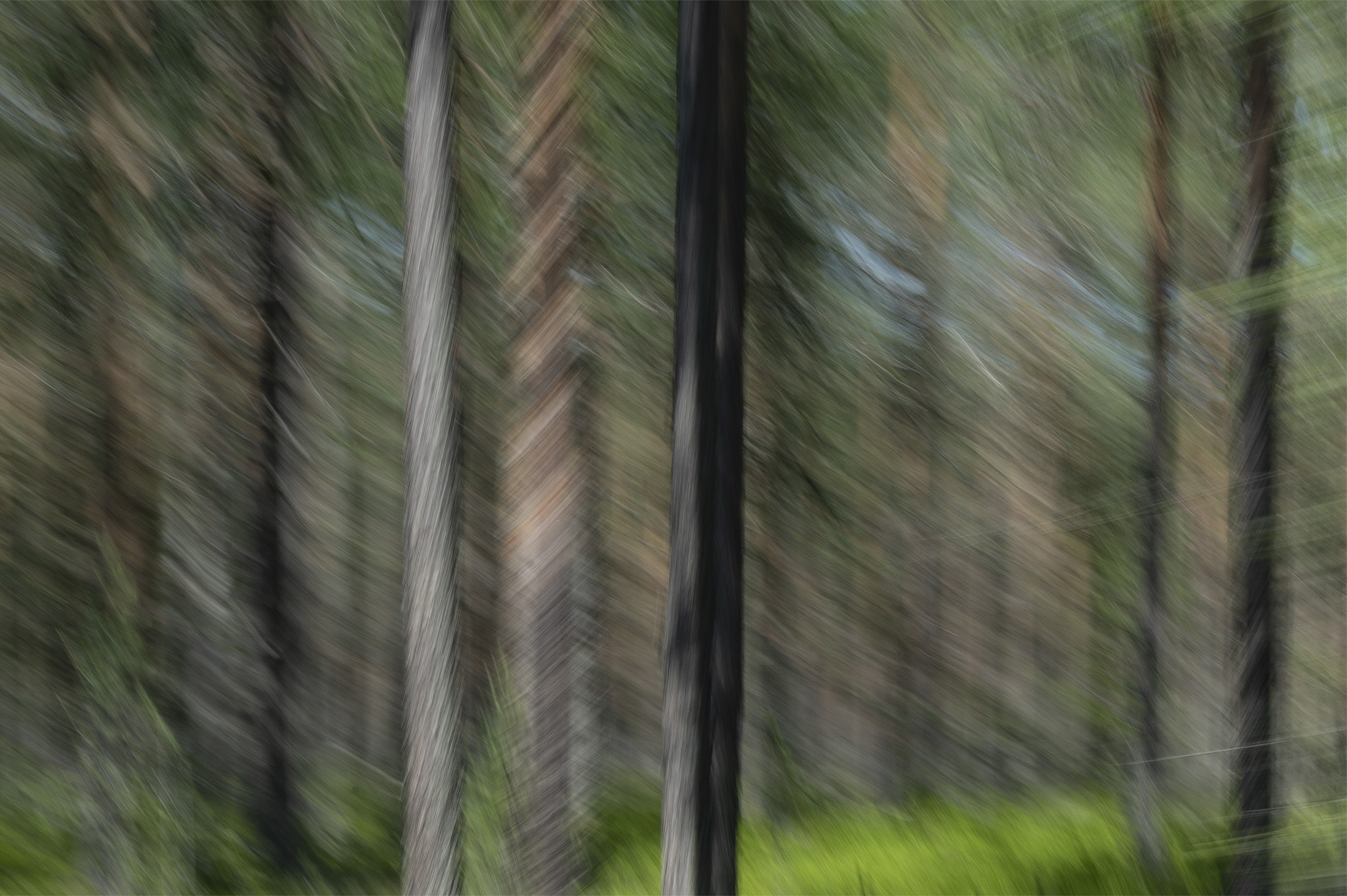Drive-by-shooting, Tnndalen