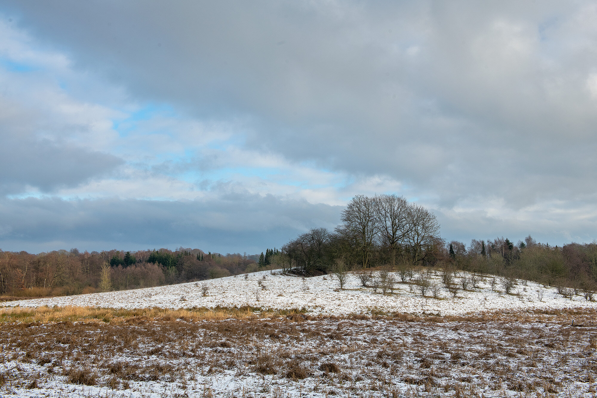 Vinter