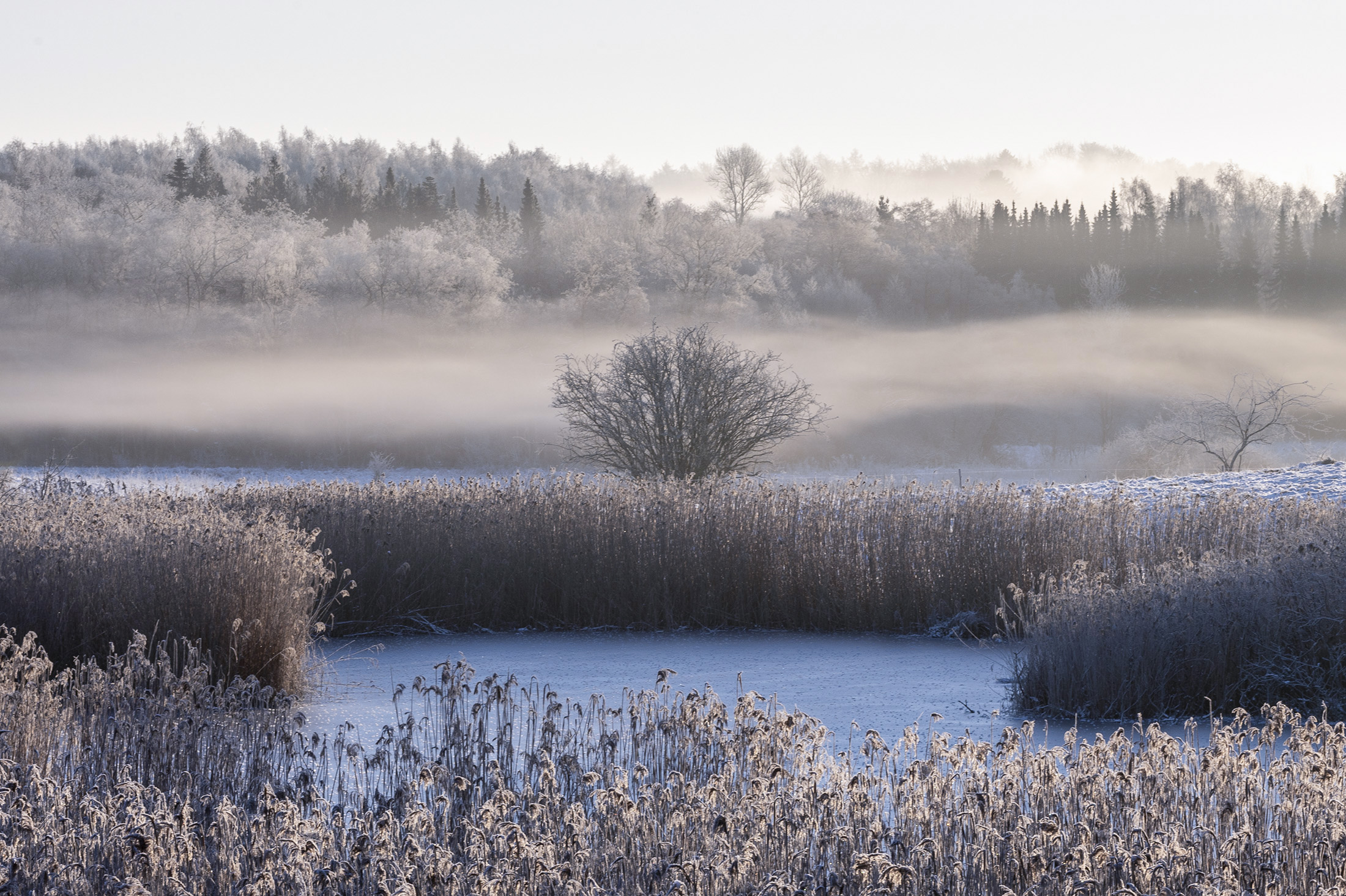 Rimfrost og tgebanker, Dumpedalen