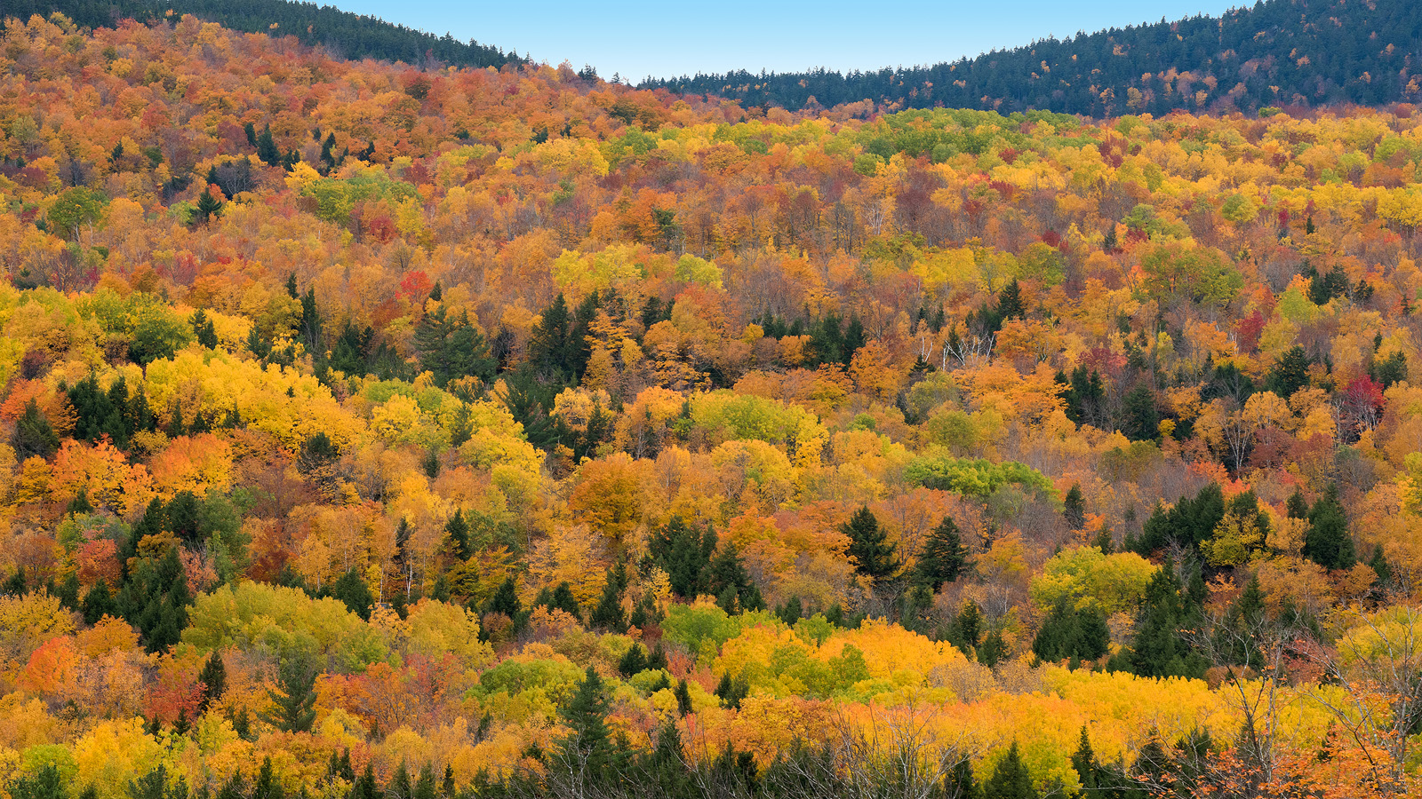 Fall foliage, New Hampshire