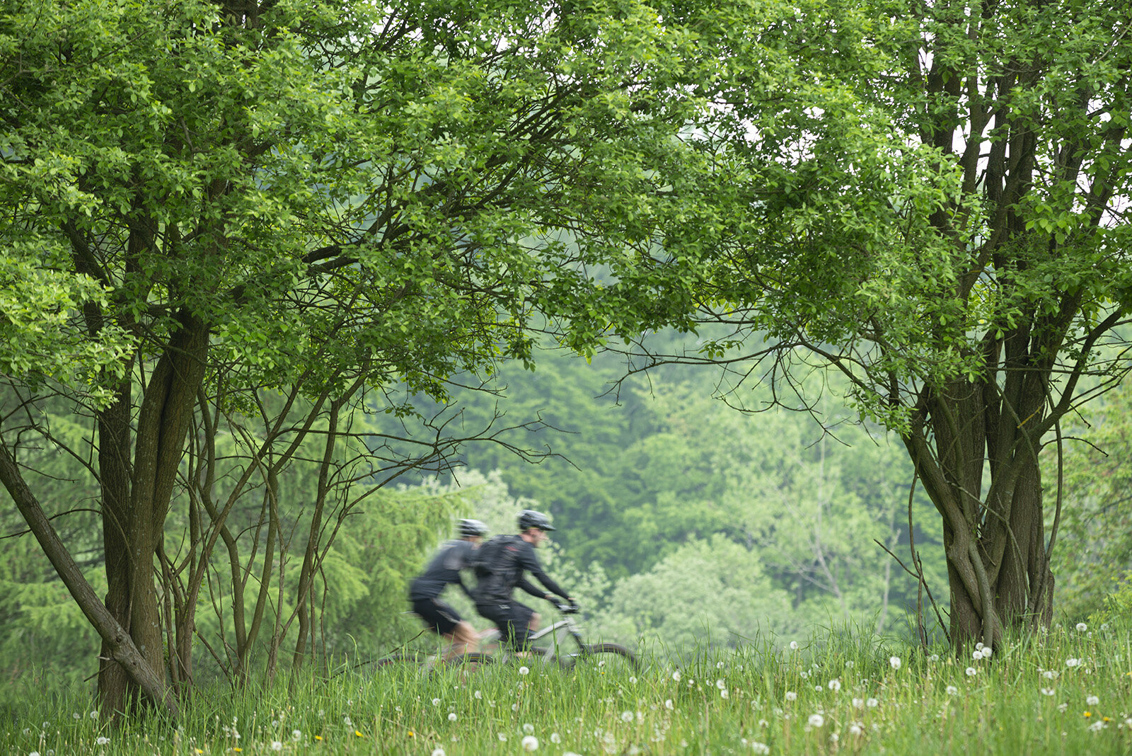 Femsølyng: Populær MTB-rute går gennem området Populær MTB-rute går gennem området