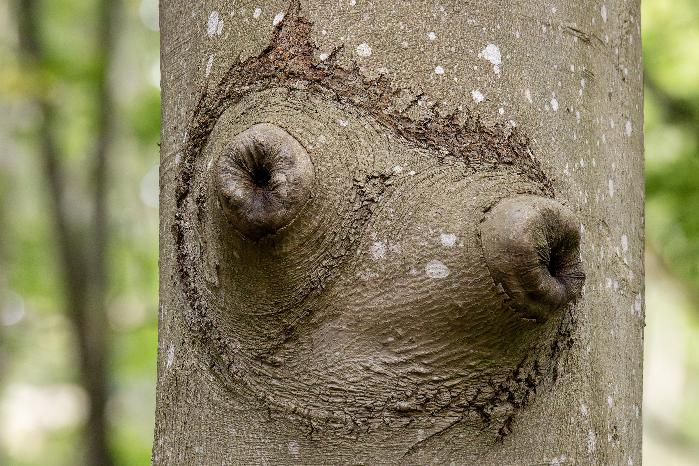 #freethenipple, Alsønderup #freethenipple