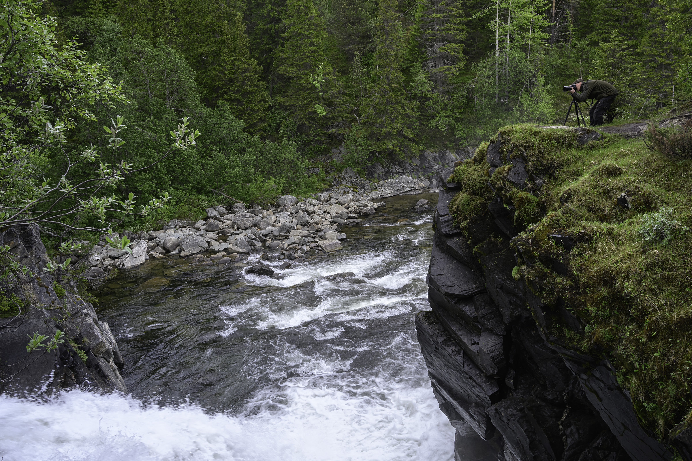 H�stfallet, Ljungdalen