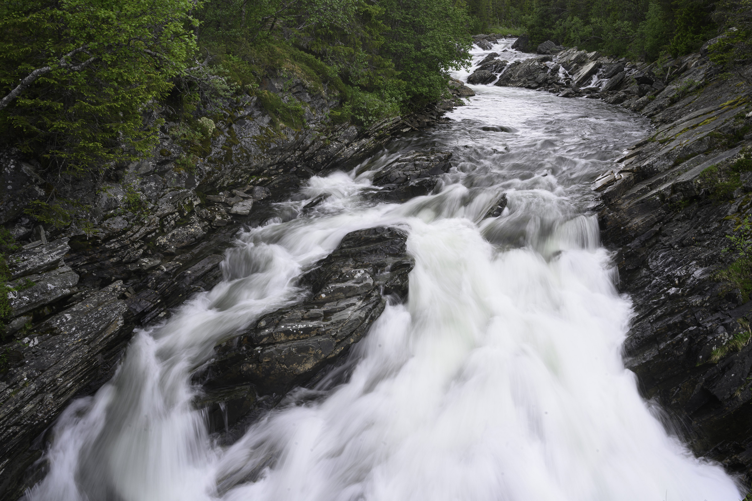 H�stfallet, Ljungdalen