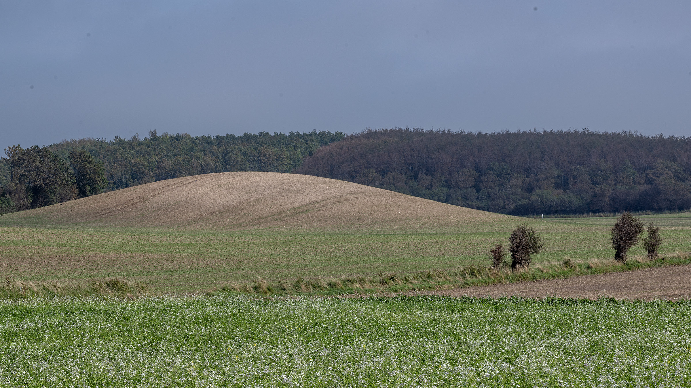 Hatbakke