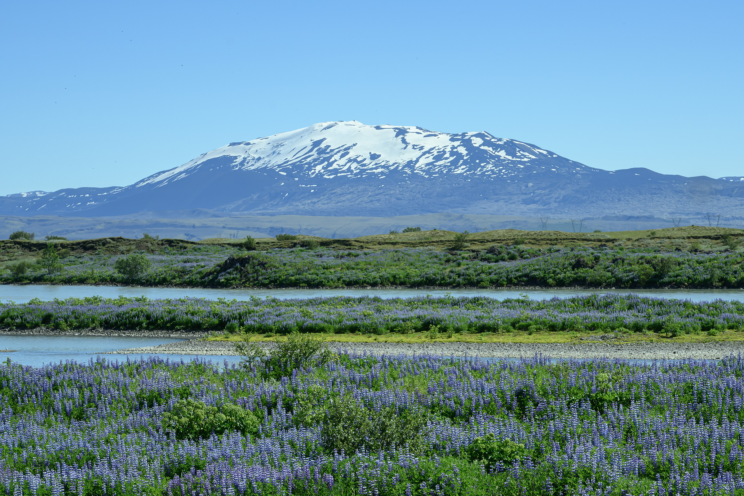 Hekla