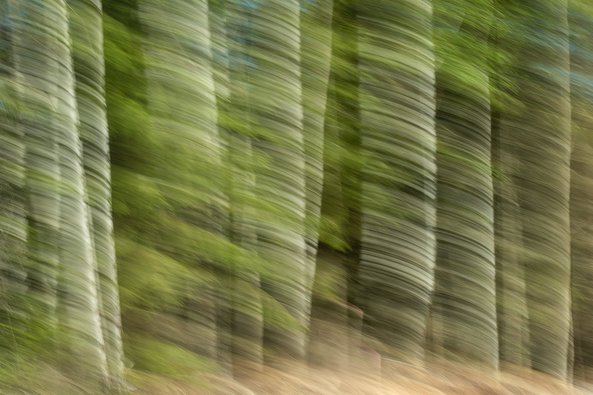 ICM