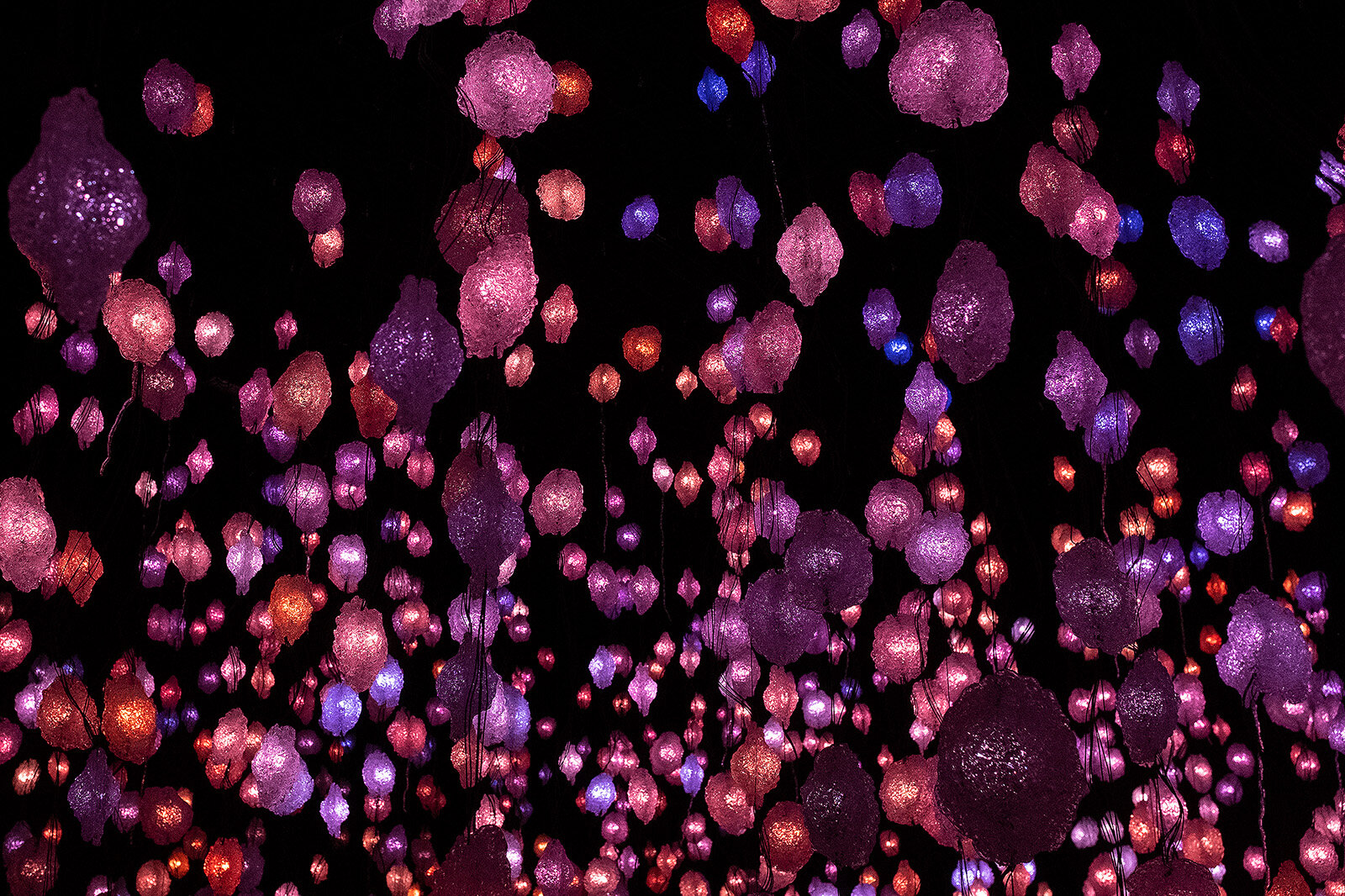 Yayoi Kusama: Sjlenes funklende lys, Louisiana