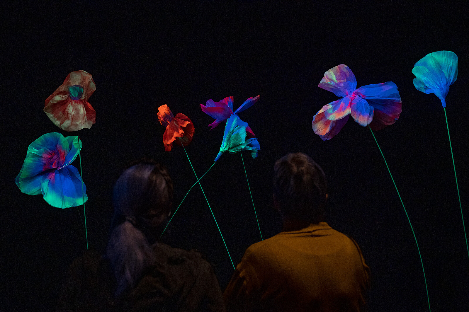 Tetsumi Kudo: Cultivation, Louisiana
