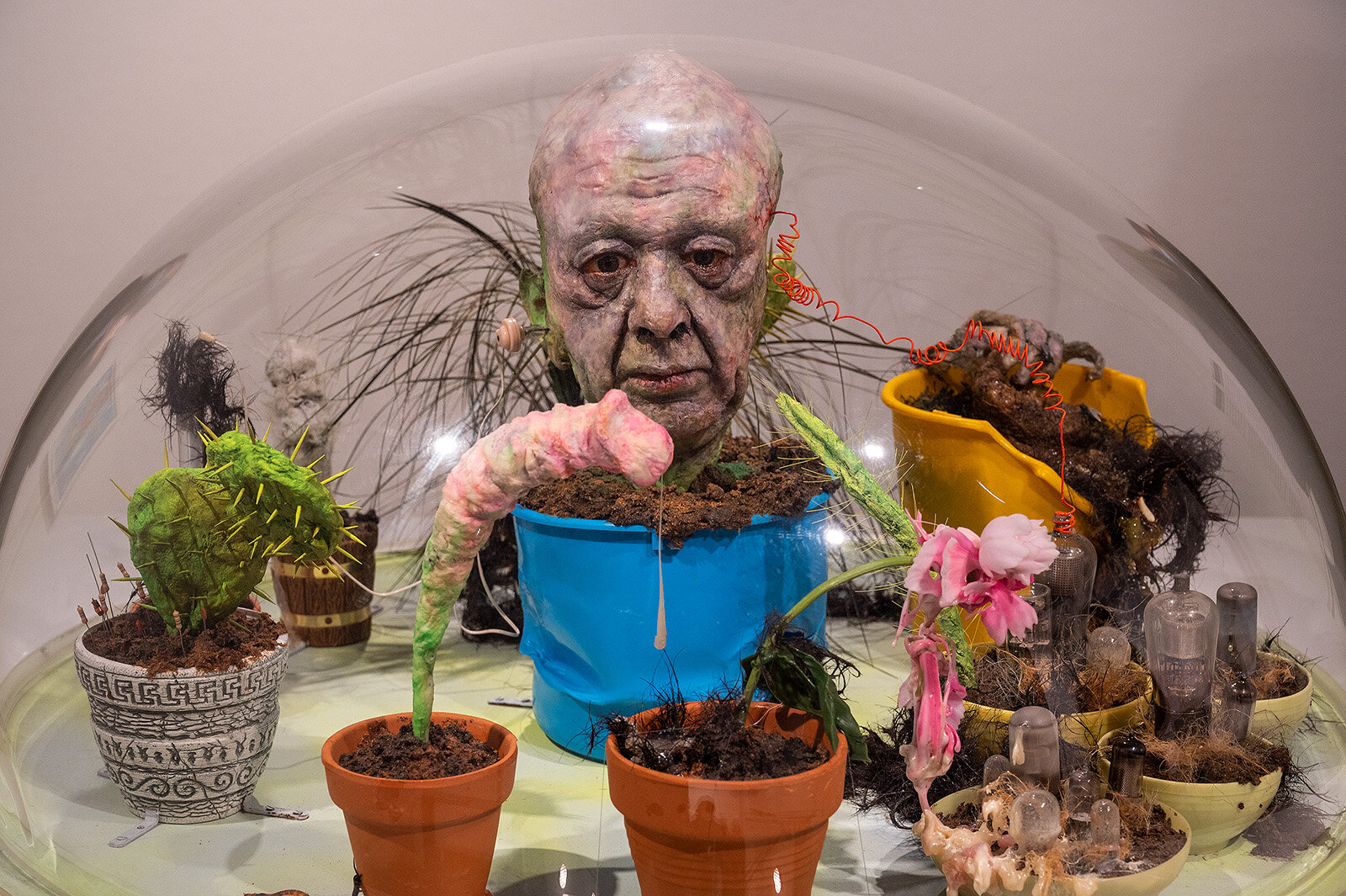 Tetsumi Kudo: Cultivation, Louisiana