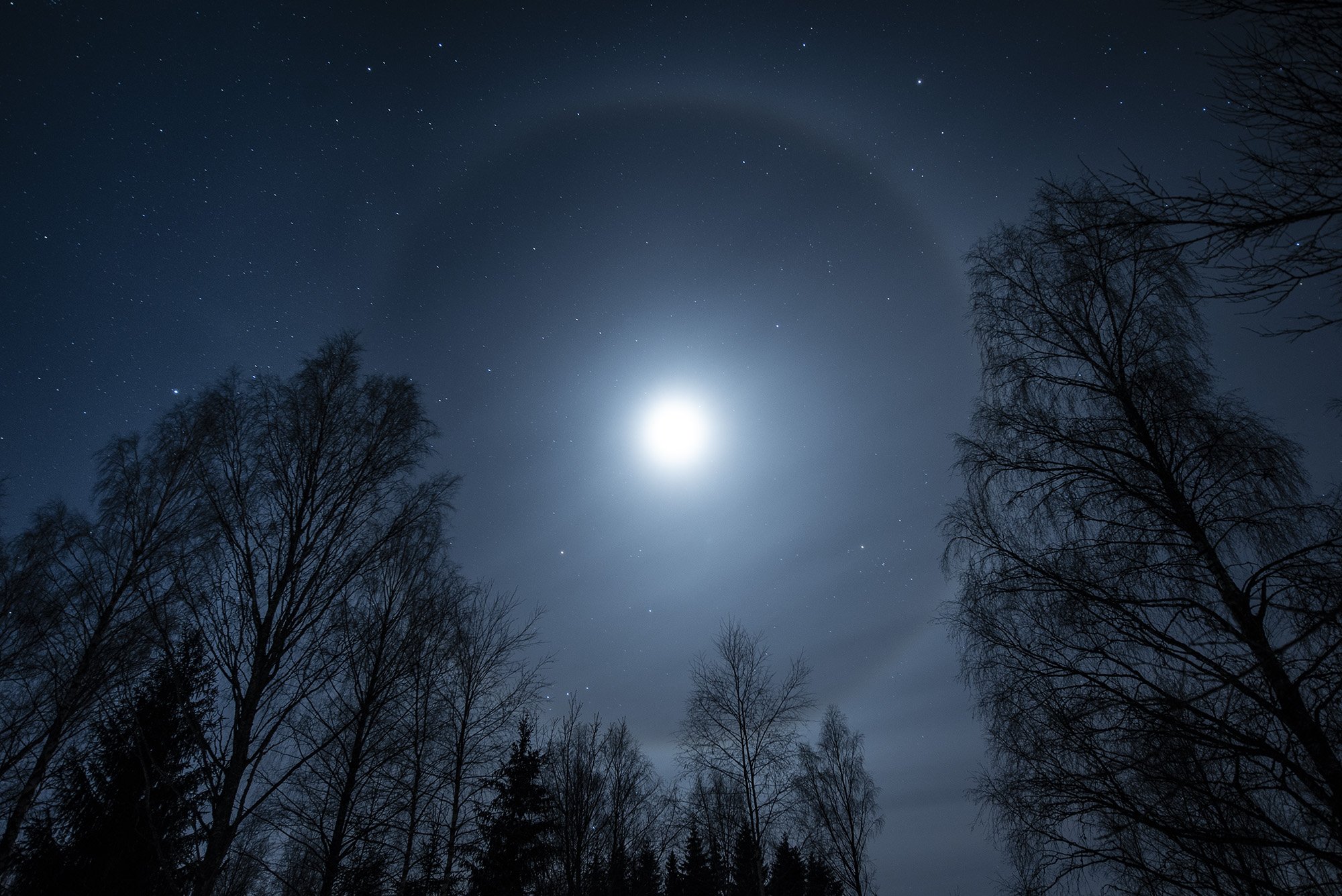 Mnehalo