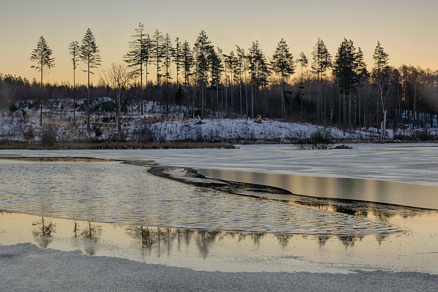 Solopgang ved Stubbe S, Rude Skov