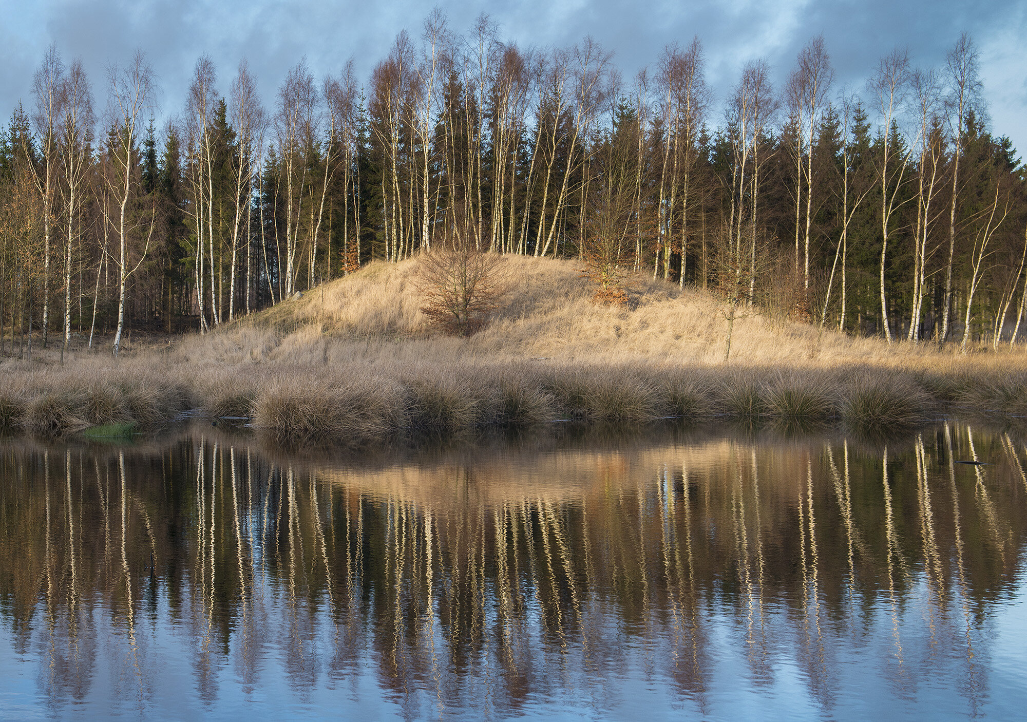 Rummelborg Dam