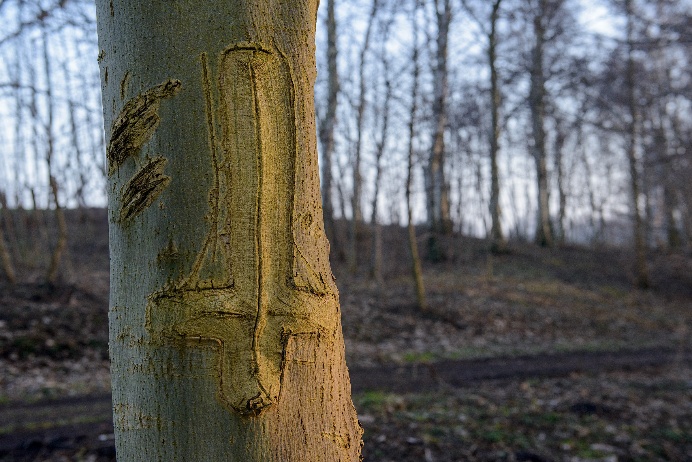 Satans kors, Sjælsø Satans kors