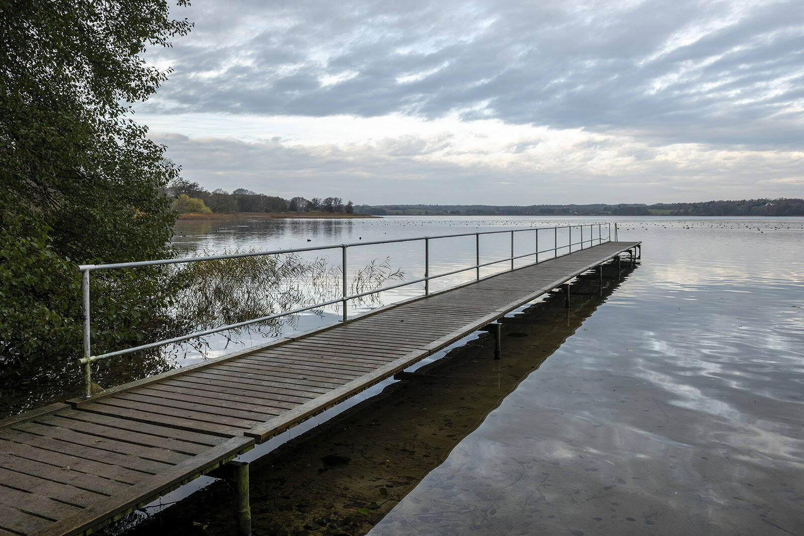 Badebroen