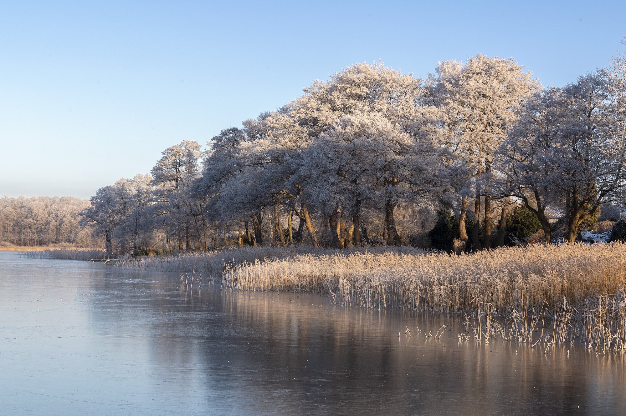 Rimfrost over Ravnsnæs