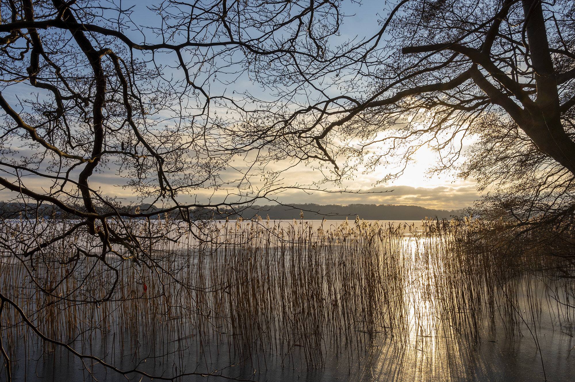 Udsigt mod Birkerød