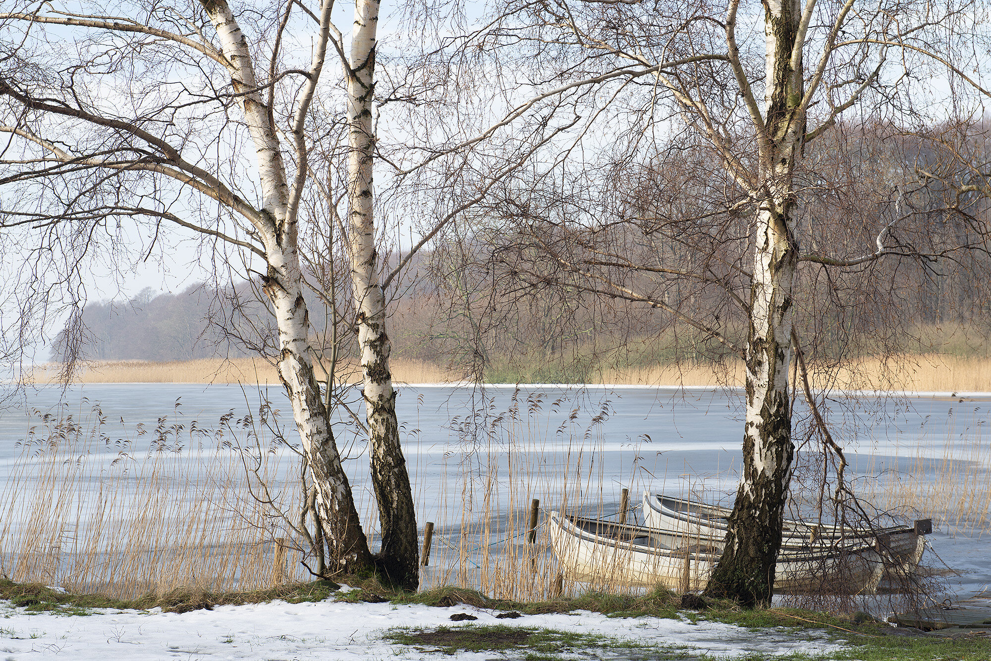 Fiskeringens smukke robåde
