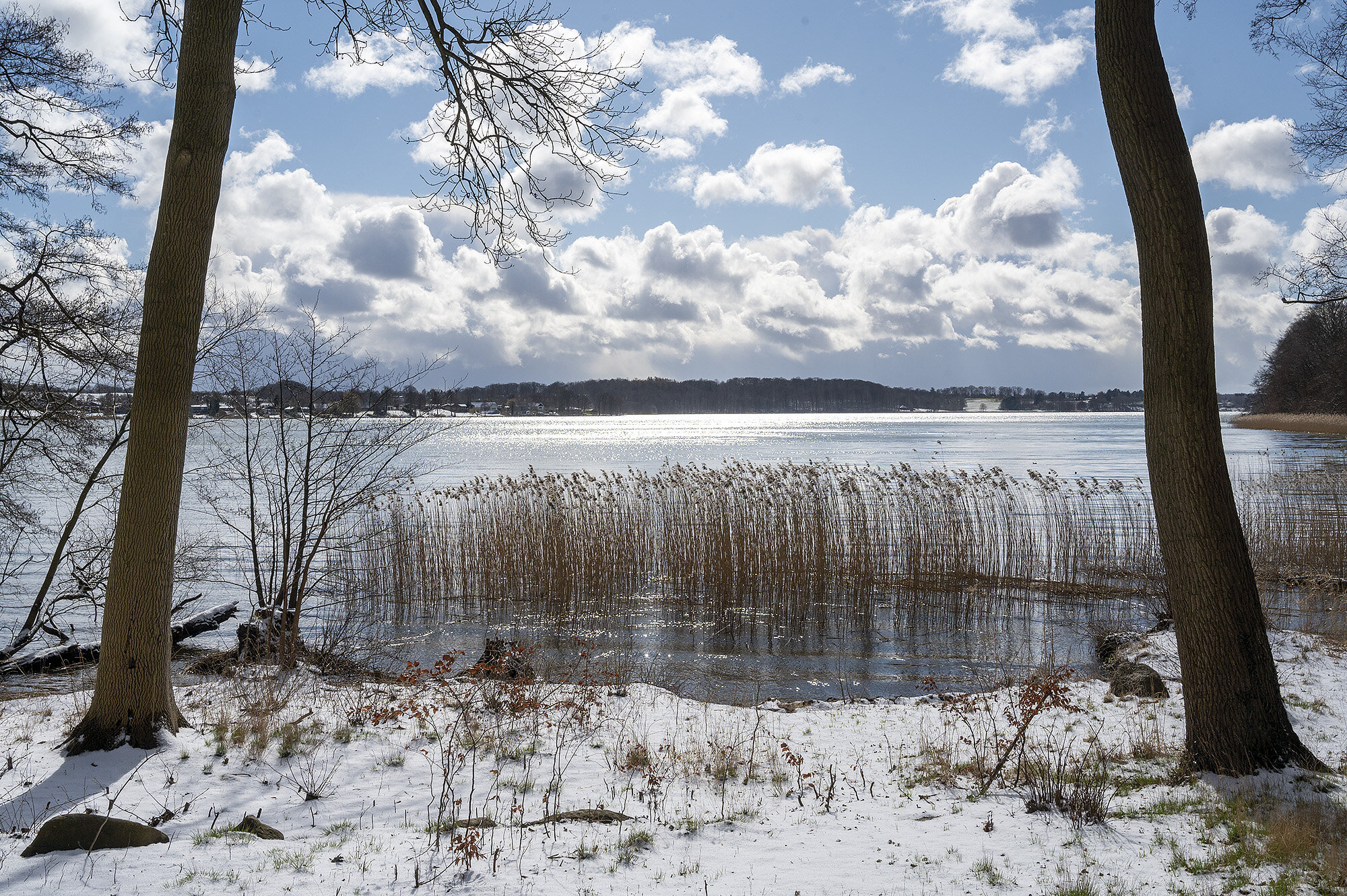 Forårssne