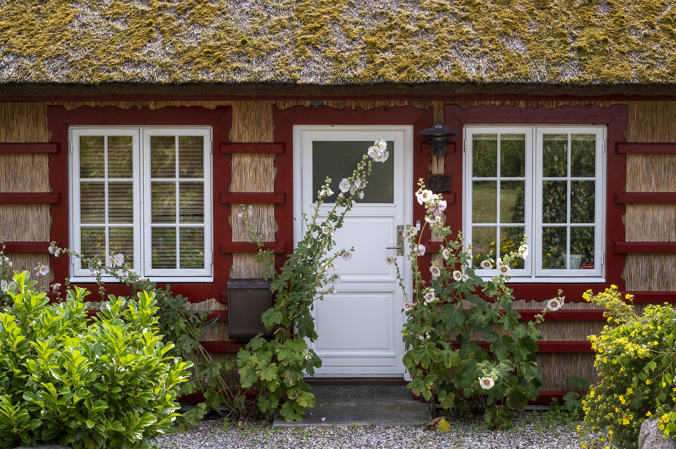 Facade med tagrør, Hesnæs Facade med tagrør