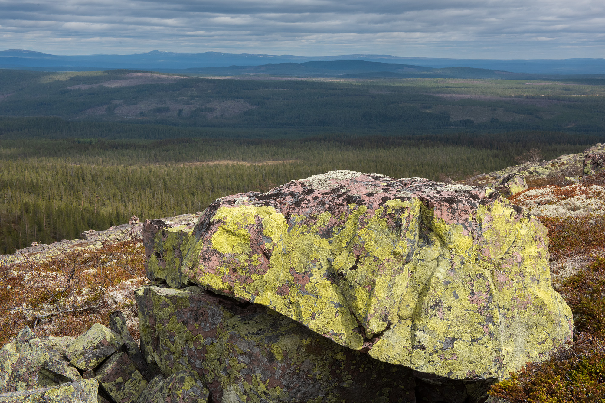 Udsigt, Fulufjllets Nationalpark
