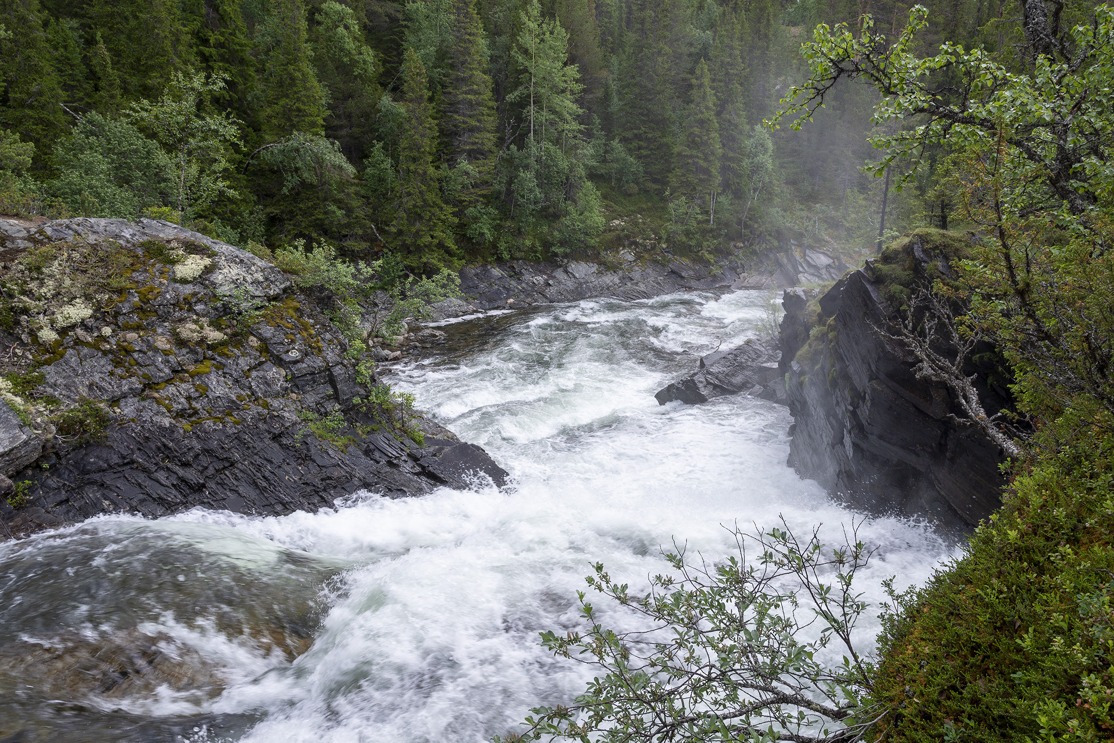 Hstfallet, Ljungdalen
