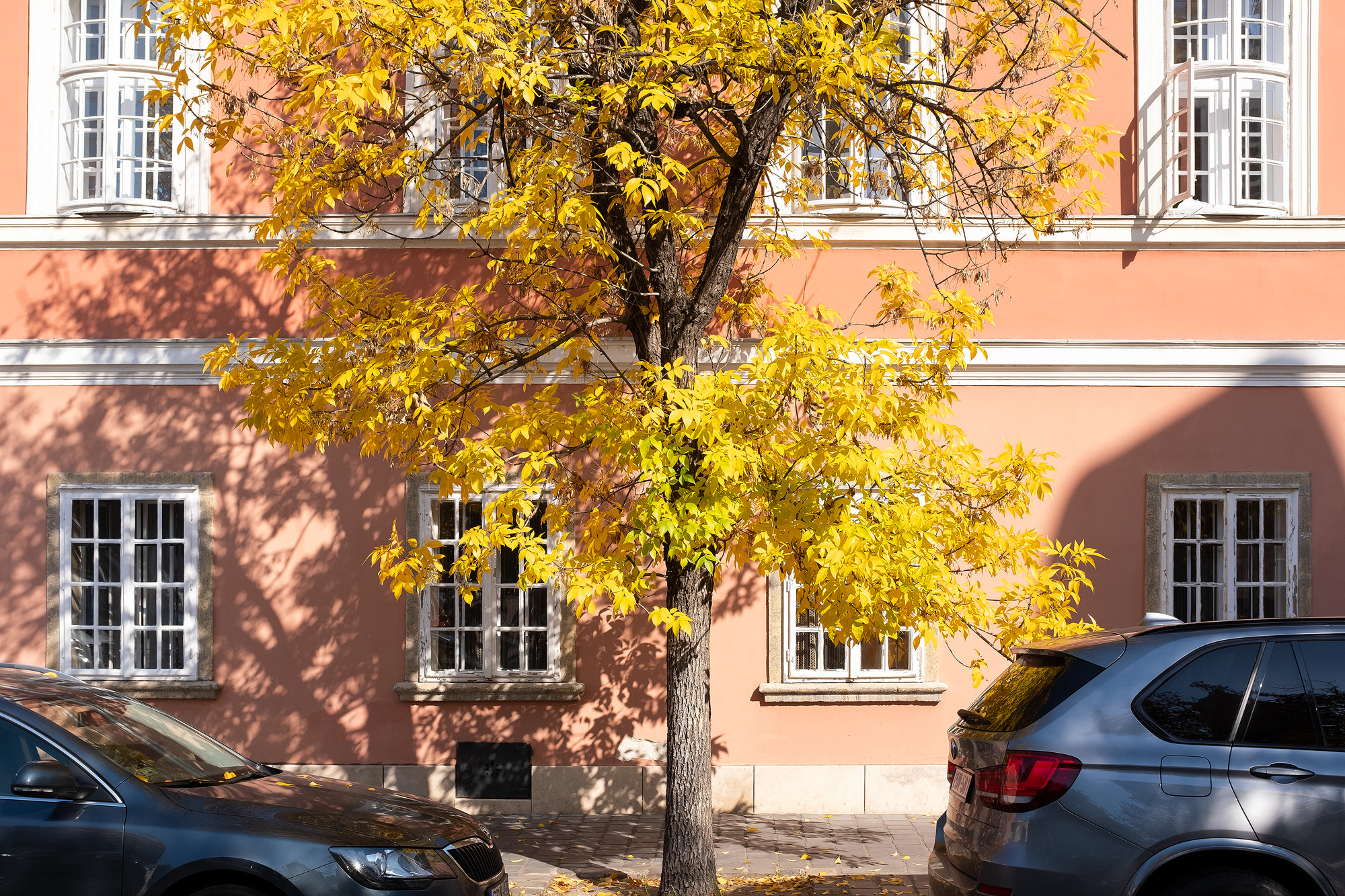 Budapest 2019