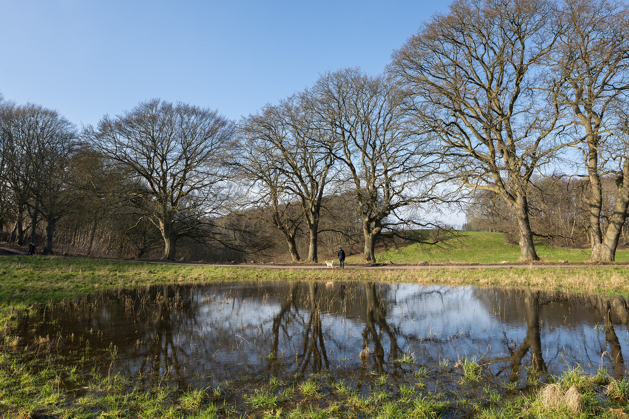 Søllerød Naturpark