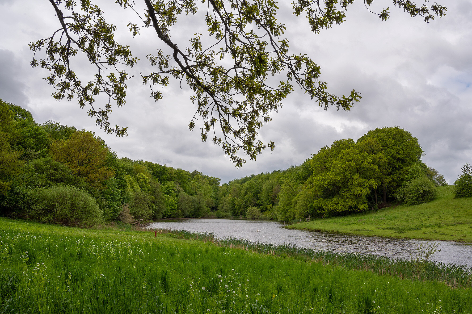 Søllerød Naturpark