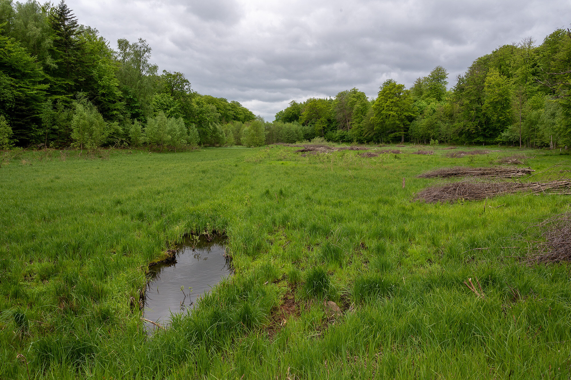 Søllerød Naturpark