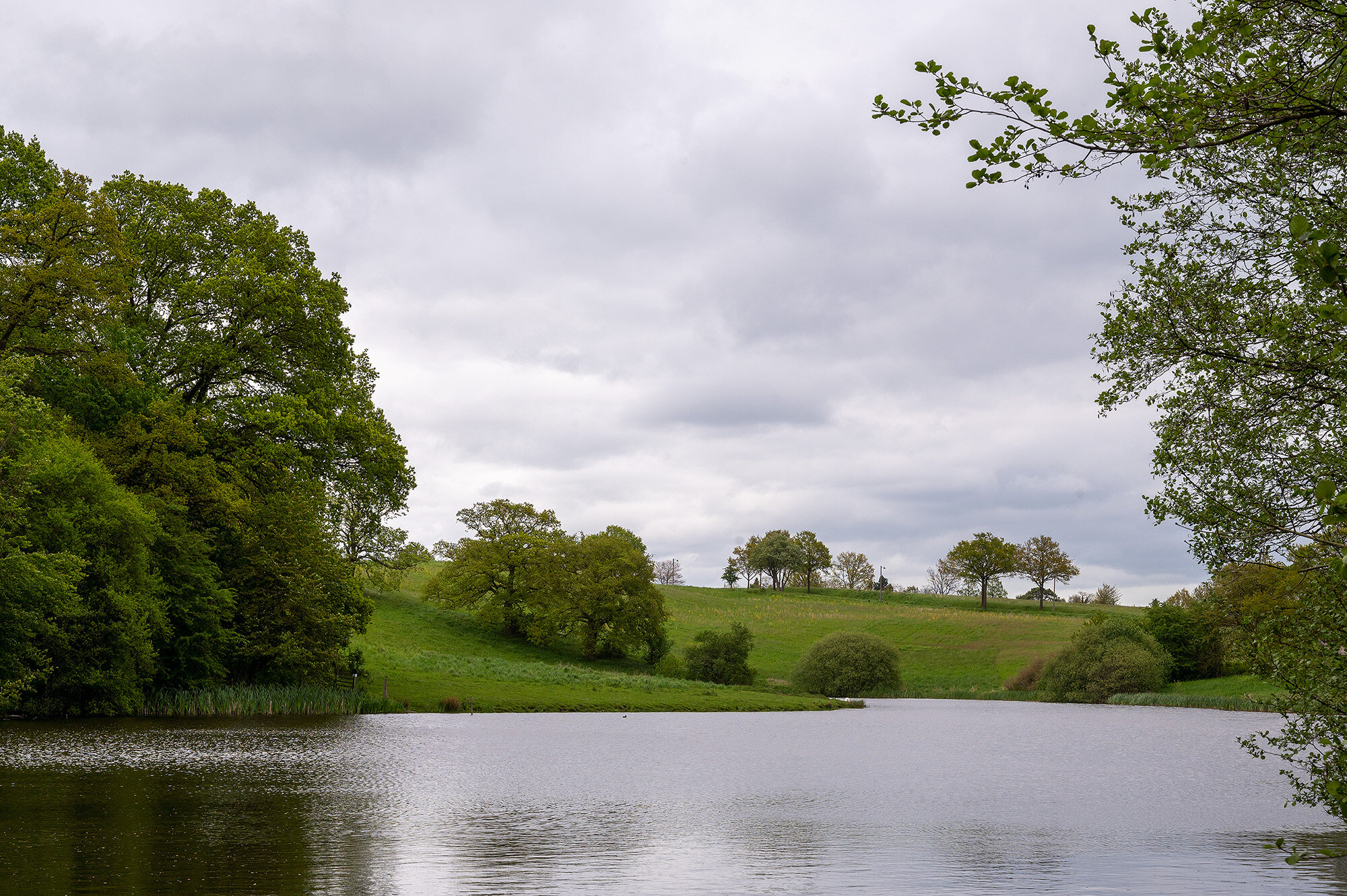 Søllerød Naturpark