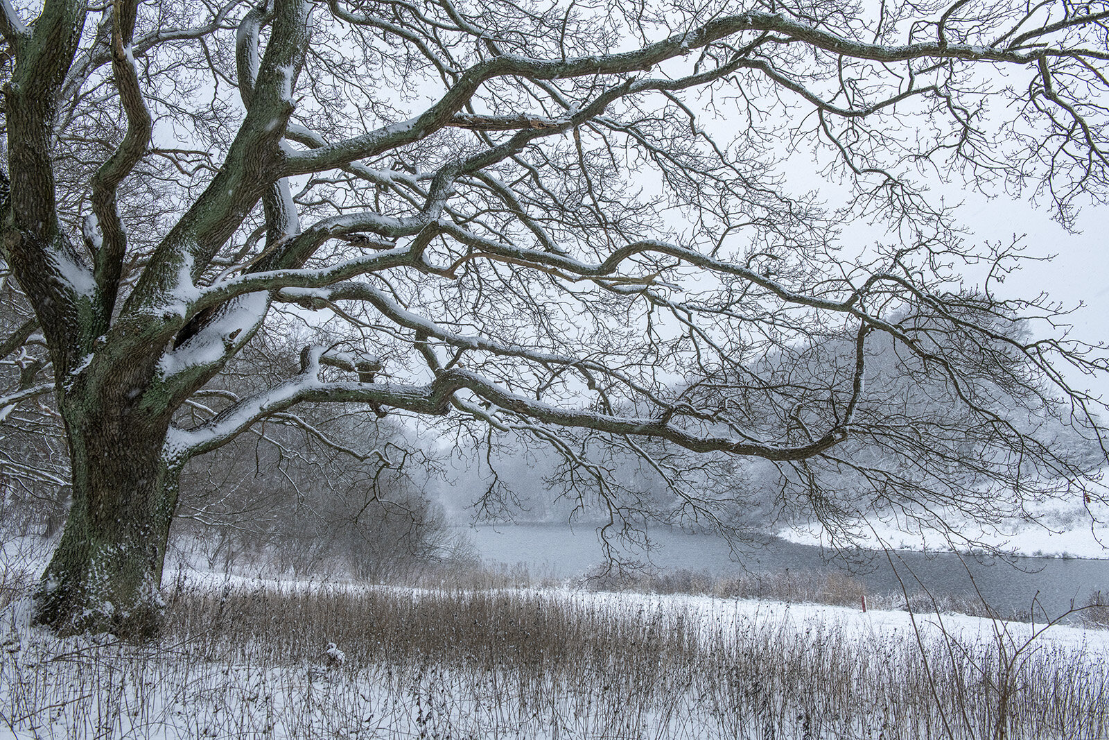 Søllerød Naturpark