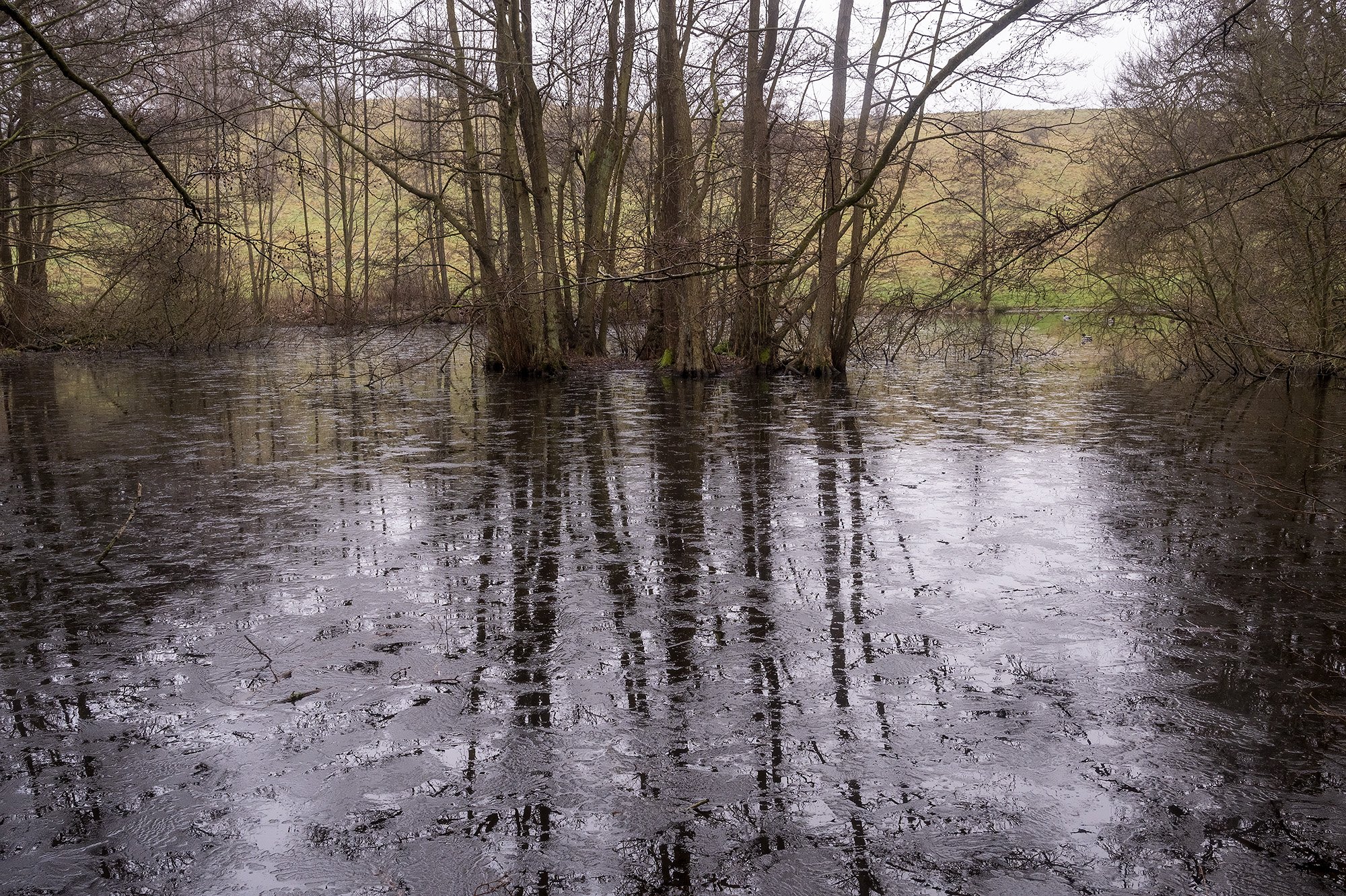 Søllerød Naturpark