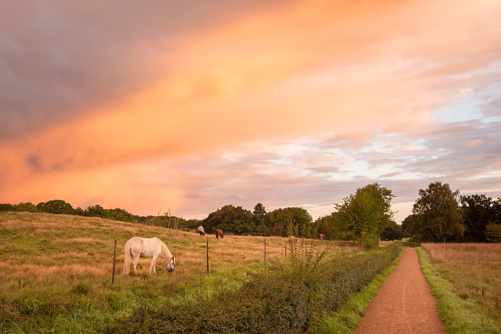Søllerød Naturpark