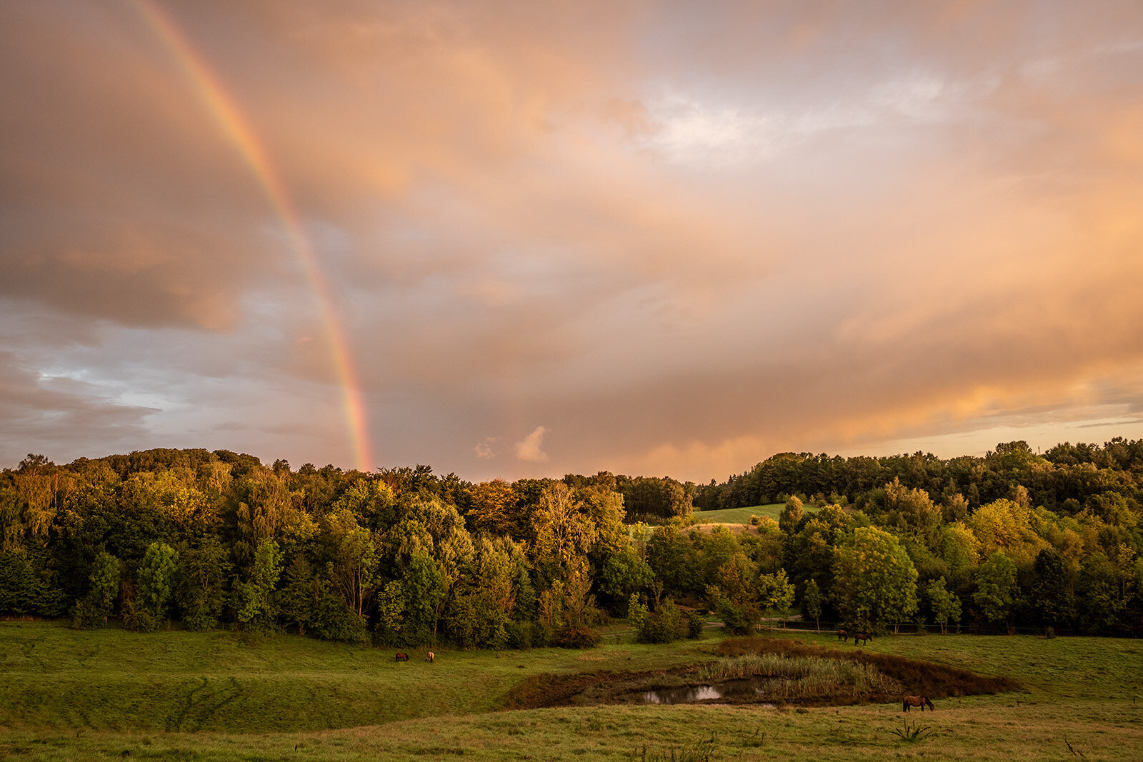 Søllerød Naturpark