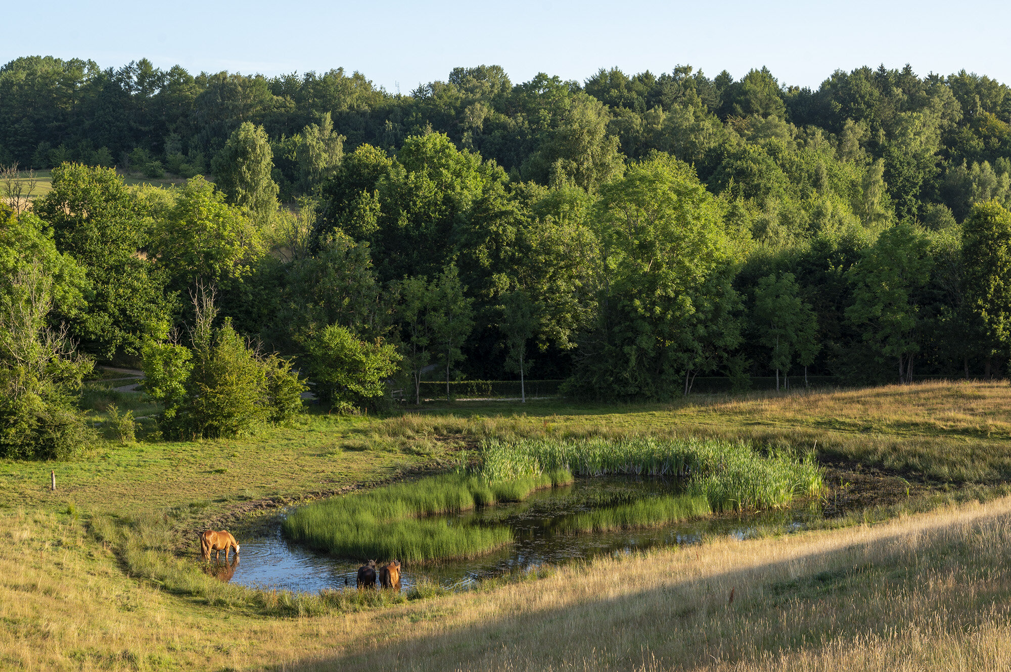 Søllerød Naturpark