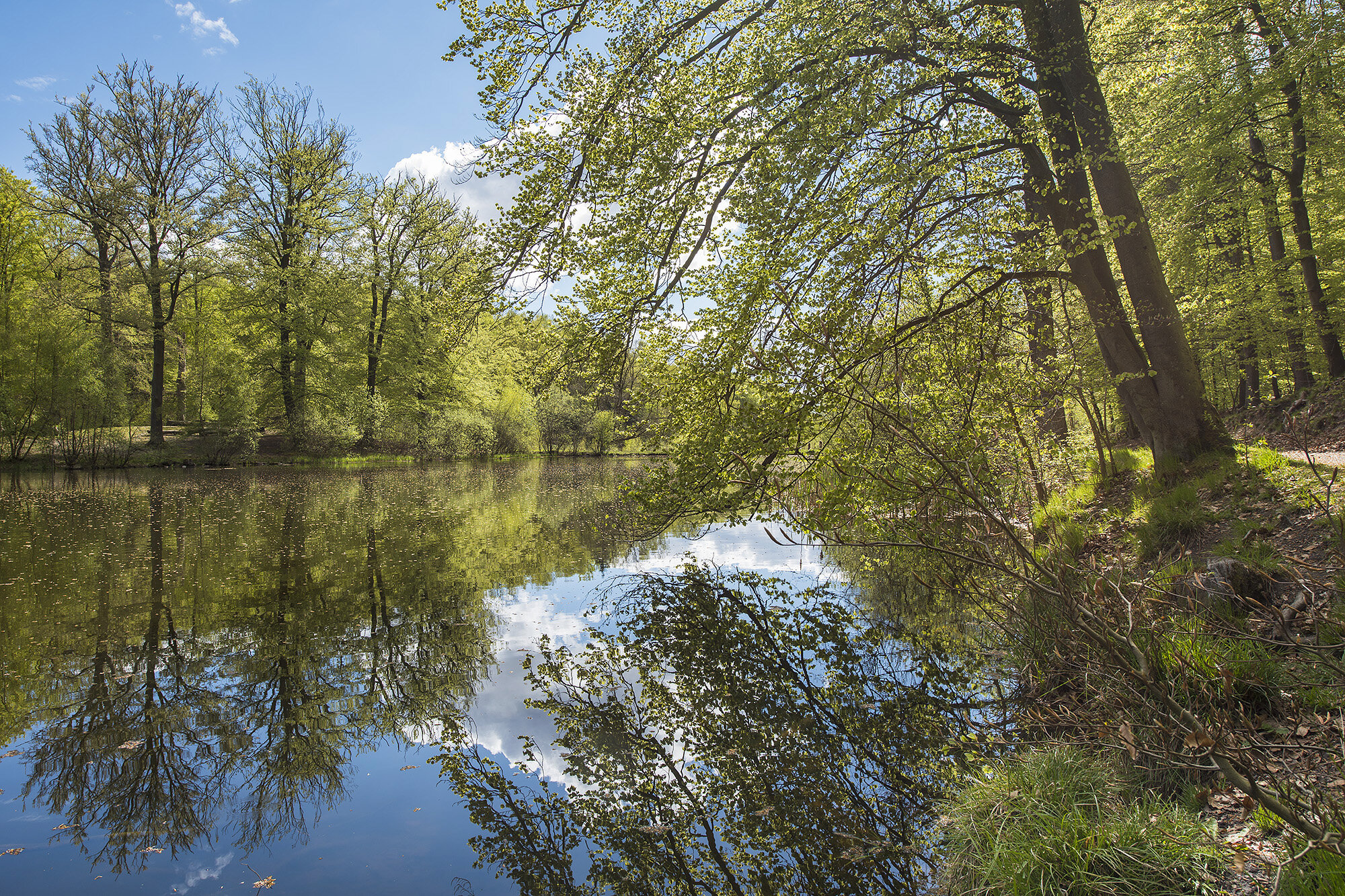 Søllerød Naturpark