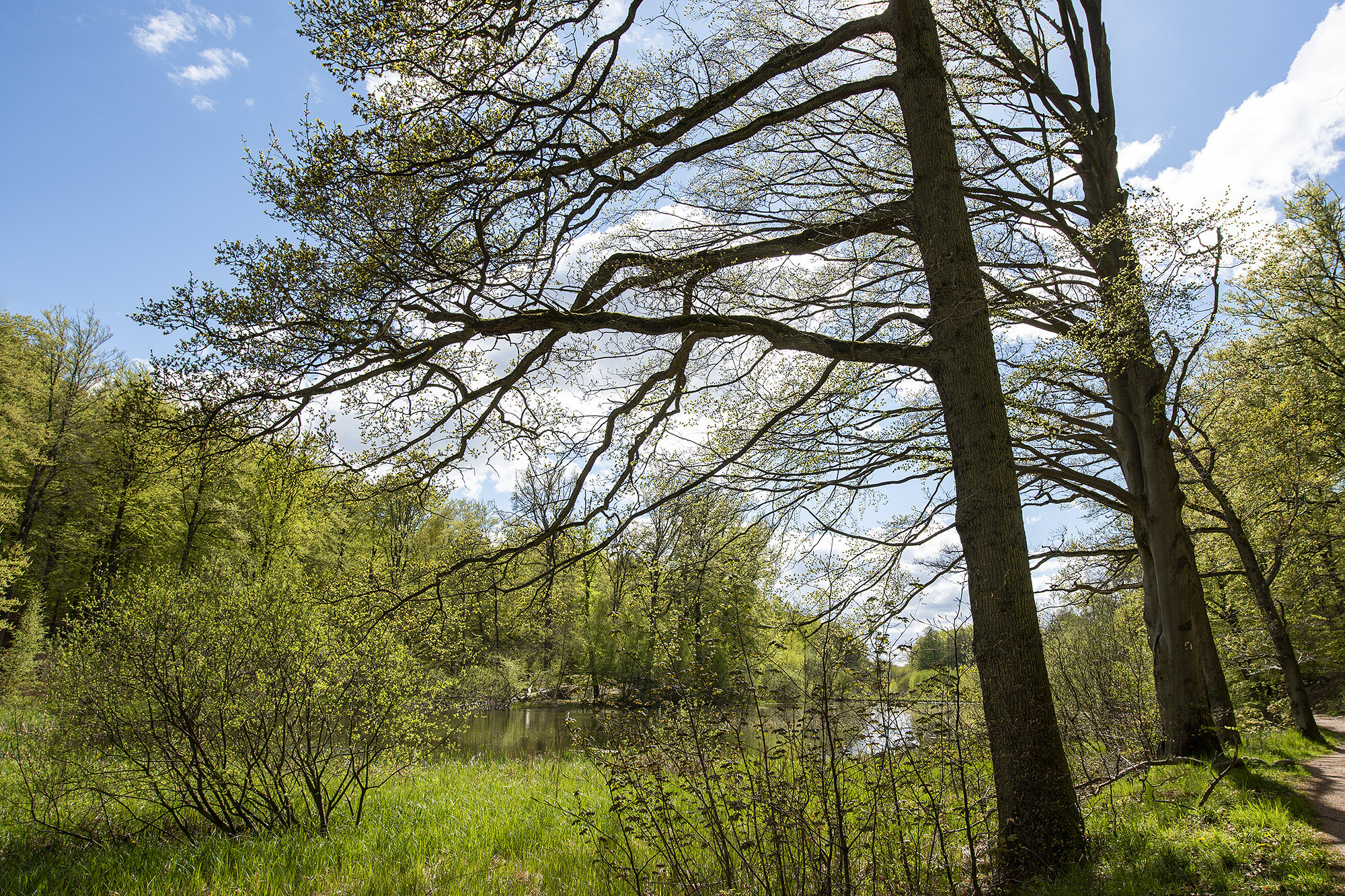 Søllerød Naturpark