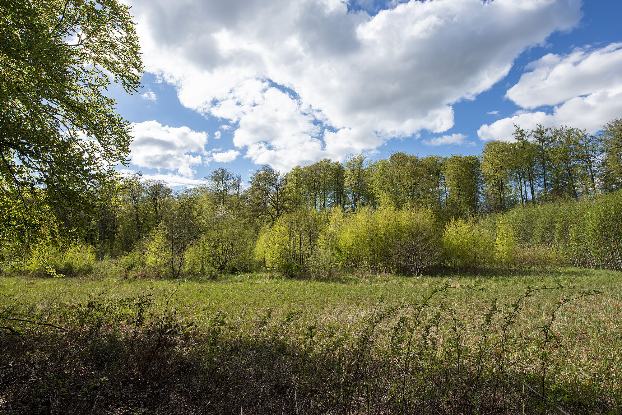 Søllerød Naturpark