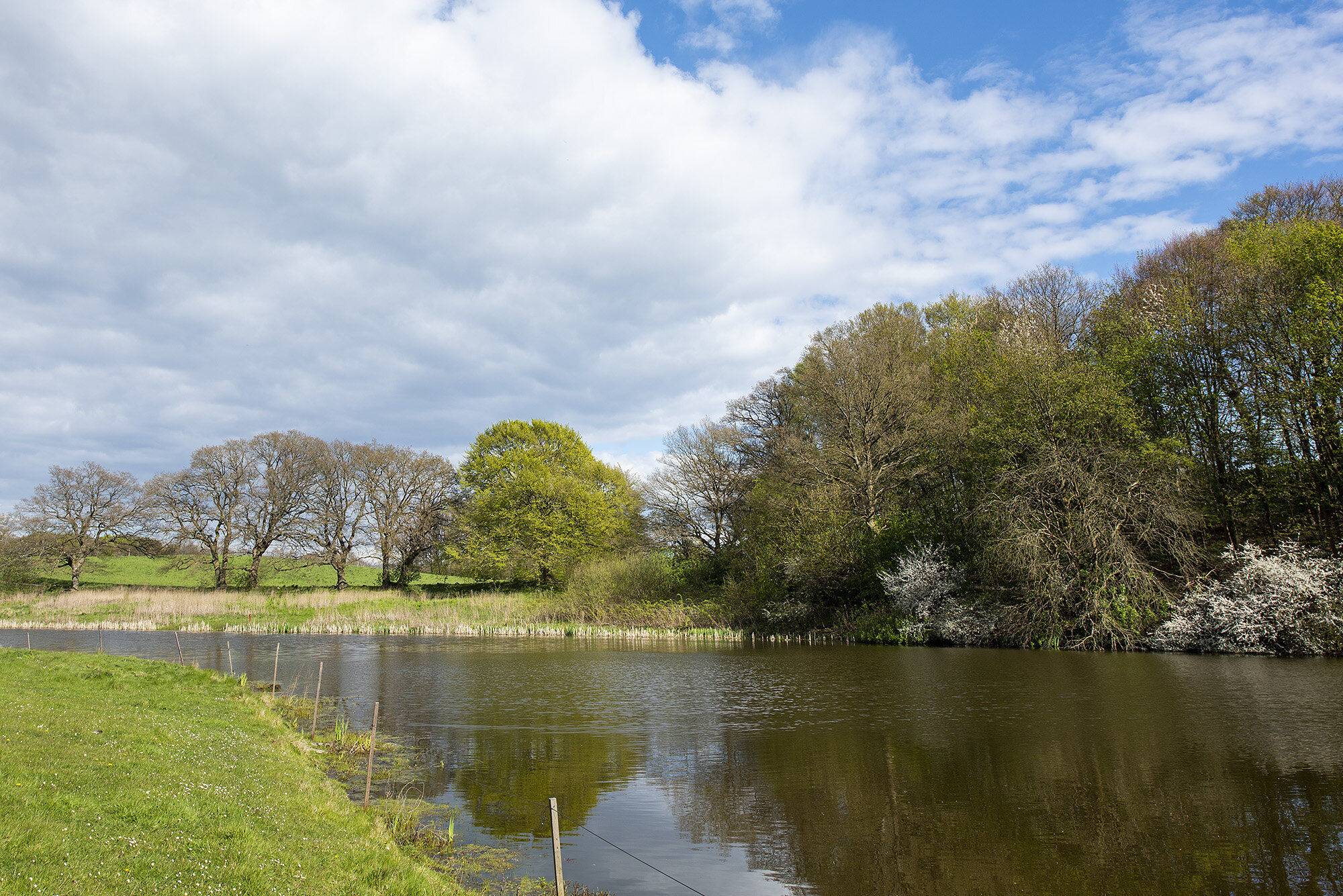 Søllerød Naturpark