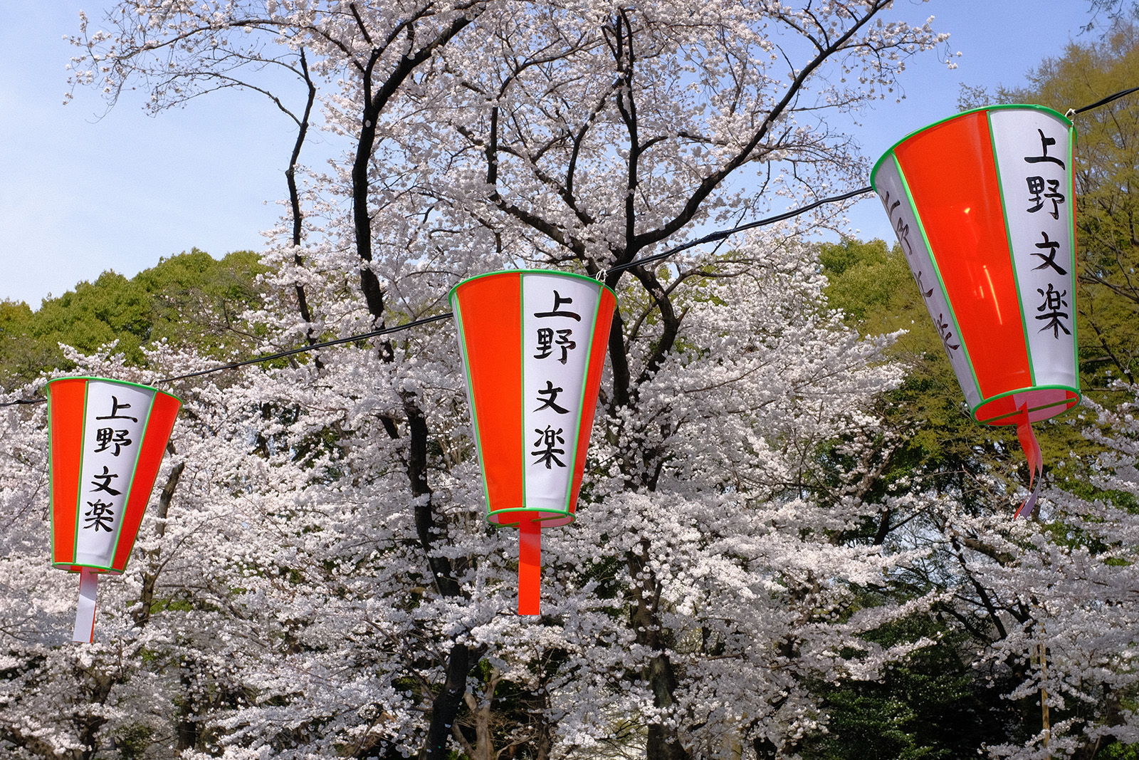 Japan 2018