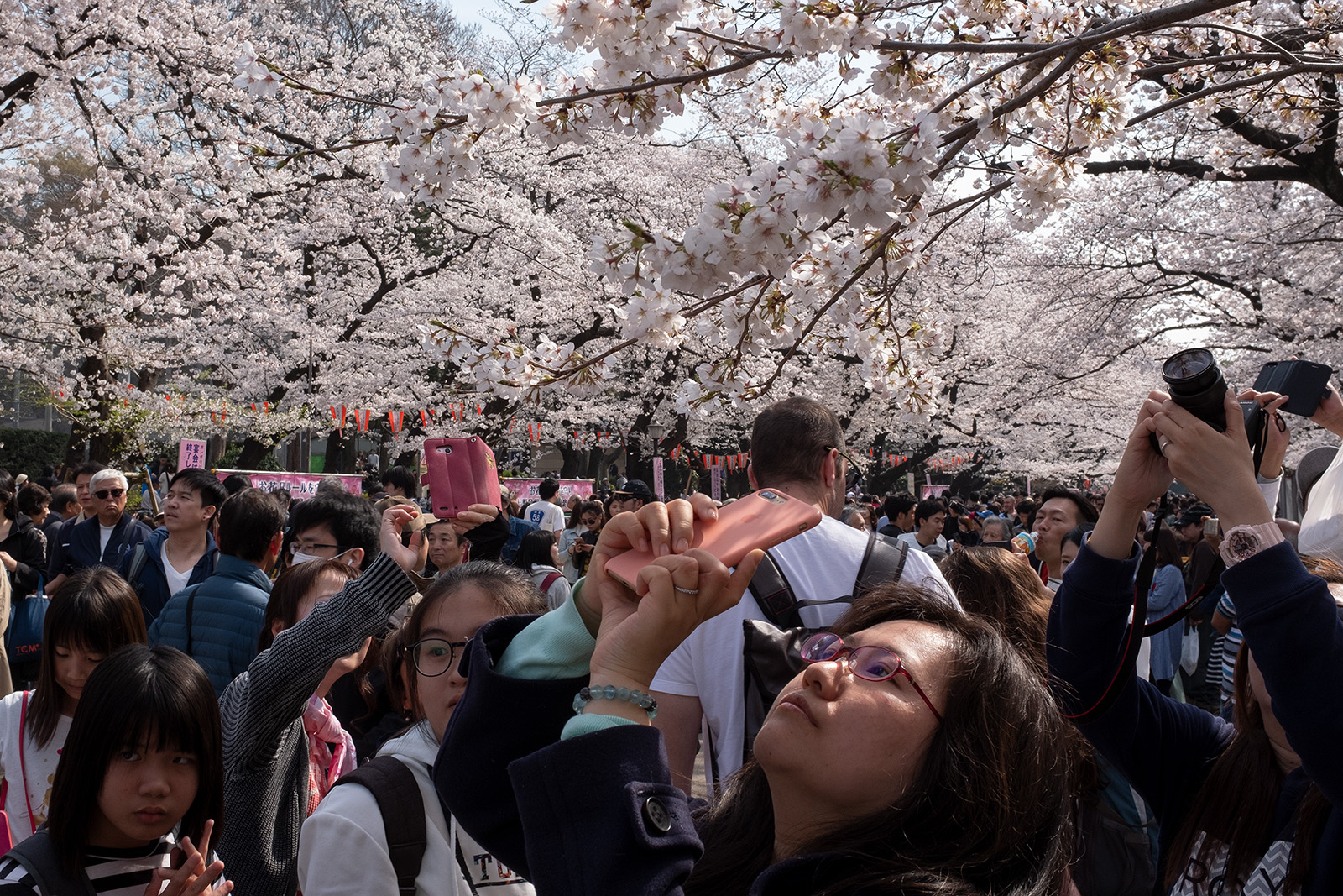 Japan 2018