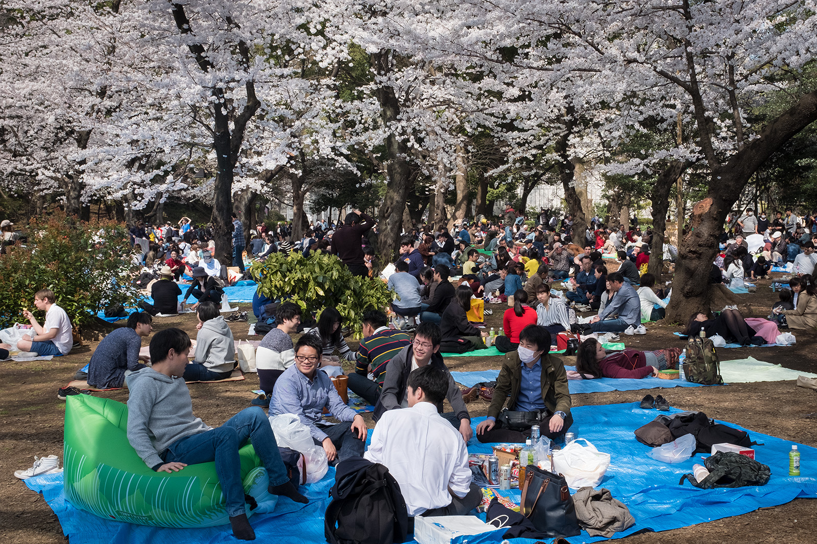 Japan 2018