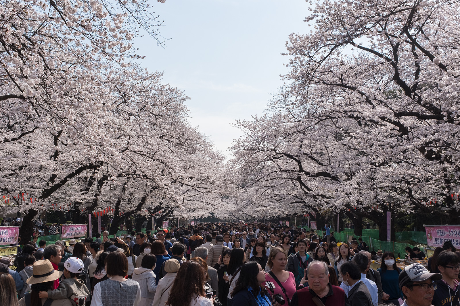 Japan 2018