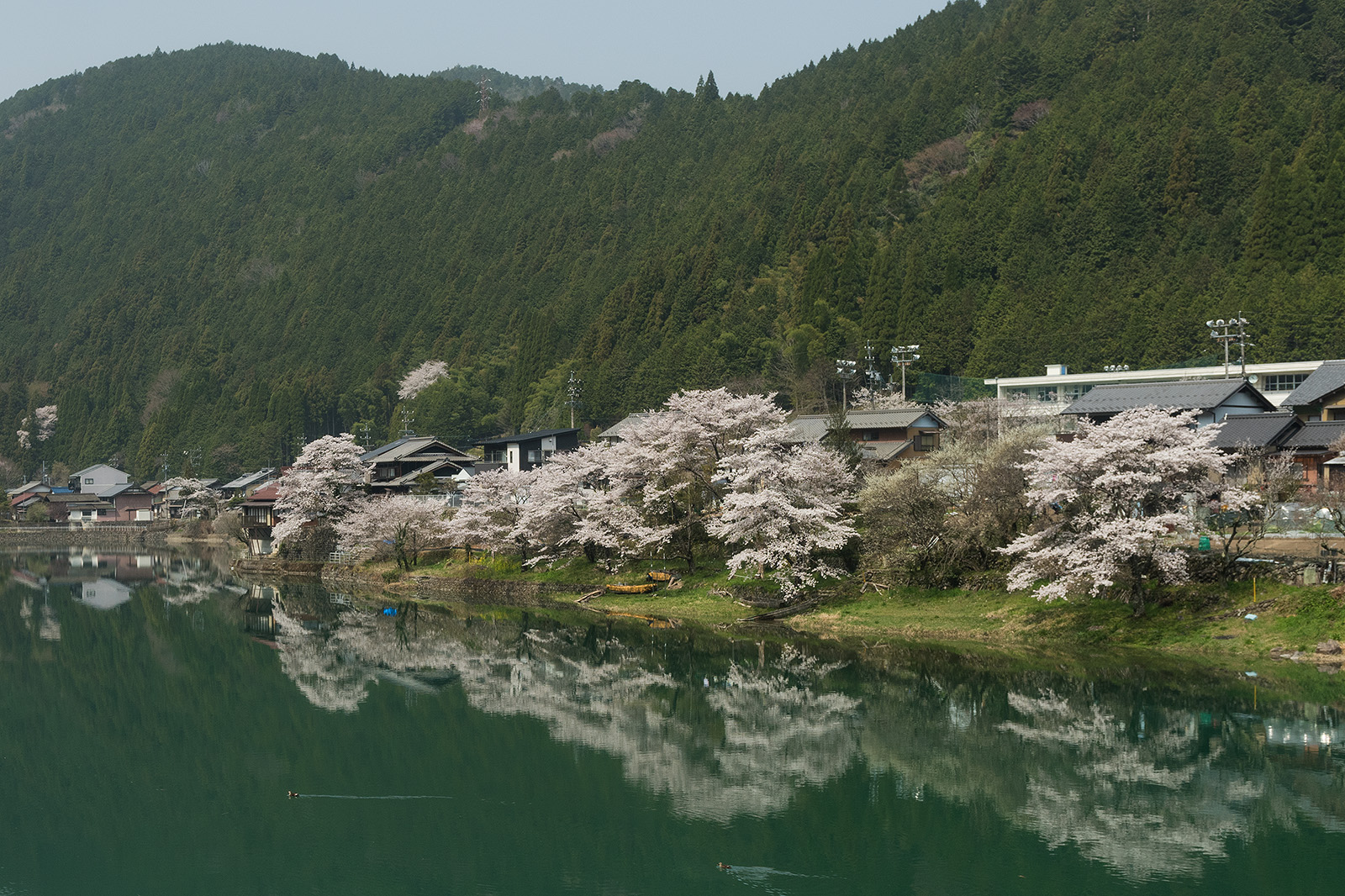Japan 2018