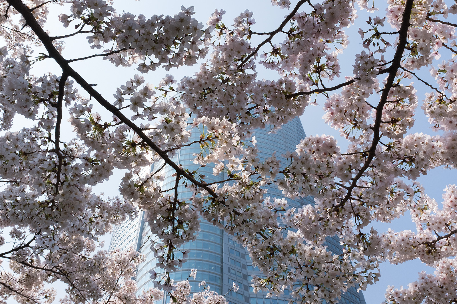 Japan 2018