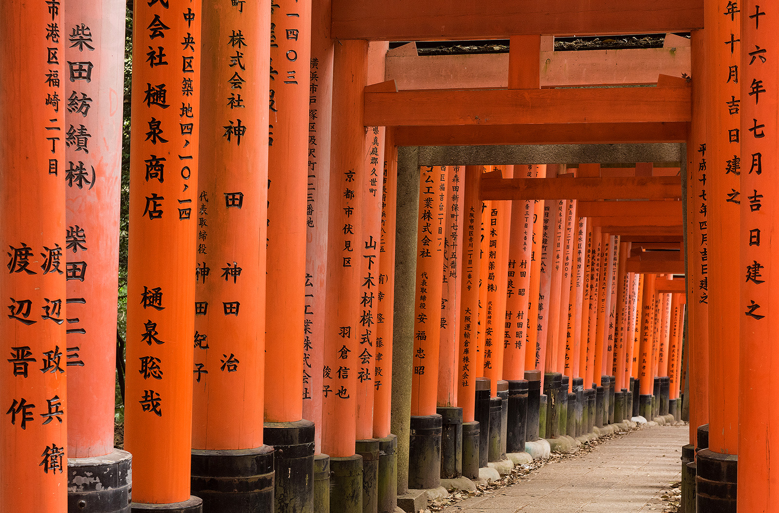 Japan 2018